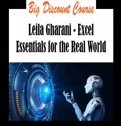 Leila Gharani - Excel Essentials for the Real World